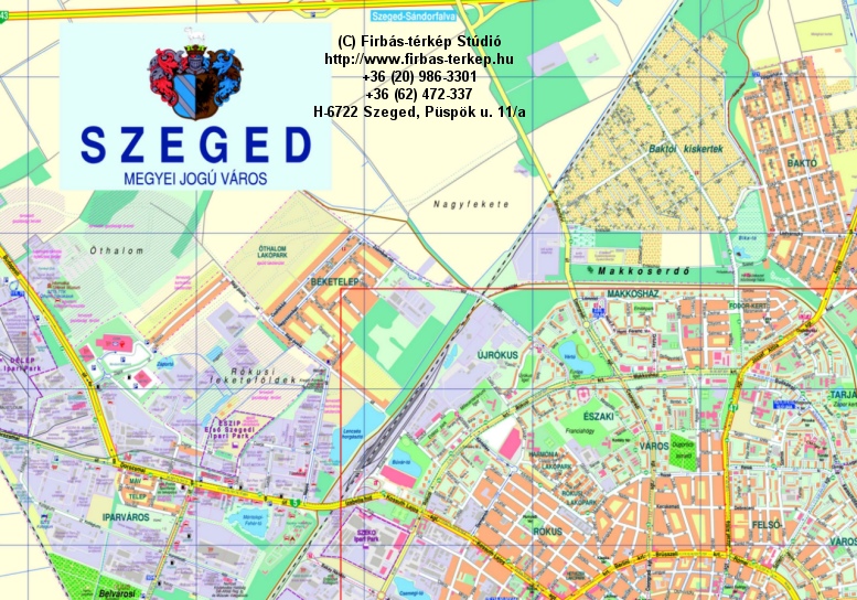 FTSmap-32 | Szeged 2009. A0 117x82cm trkp rszlet