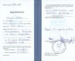 K.Z.K. – diploma – FGI gazdasgi informatikus