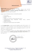K.Z.K. – diploma – EM Euromenedzser ref. le.