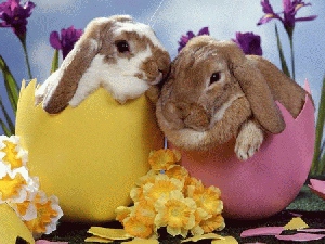 Easter-Rabbit